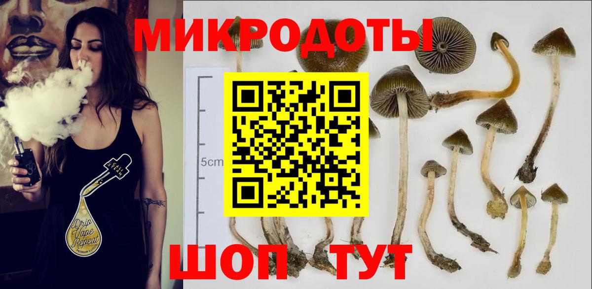 Галлюциногенные грибы Psilocybine cubensis  Вход с VPN  Звенигород 