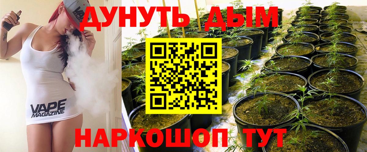 Шишки марихуана тримм  Вход с VPN  Канабис ГИДРОПОН  Бошки Шишки марихуана  Звенигород 